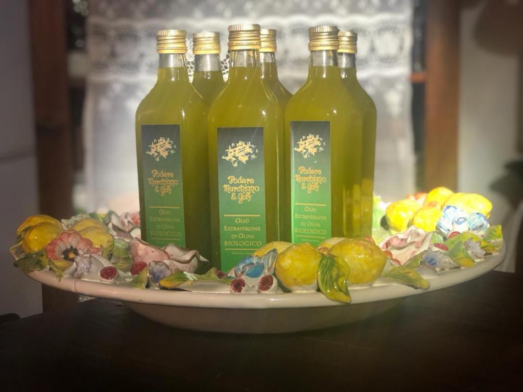 Agriturismo Podere Marchiano Larciano Екстериор снимка